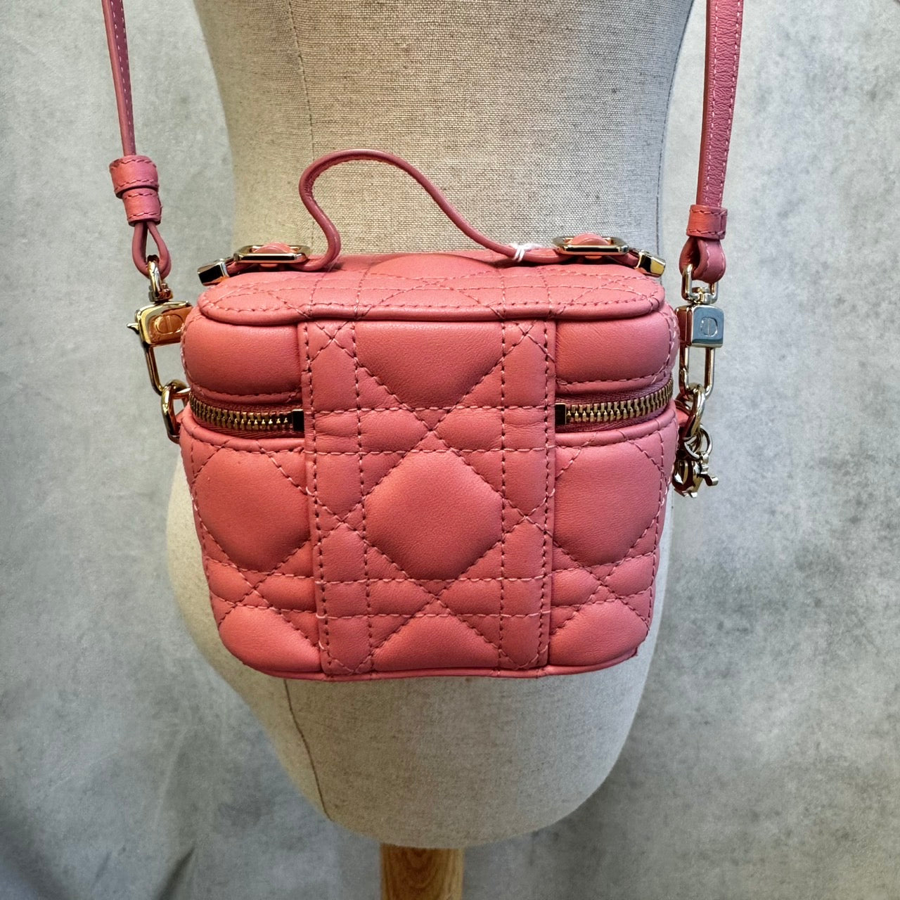 DIOR レディディオール カナージュ マイクロバニティ