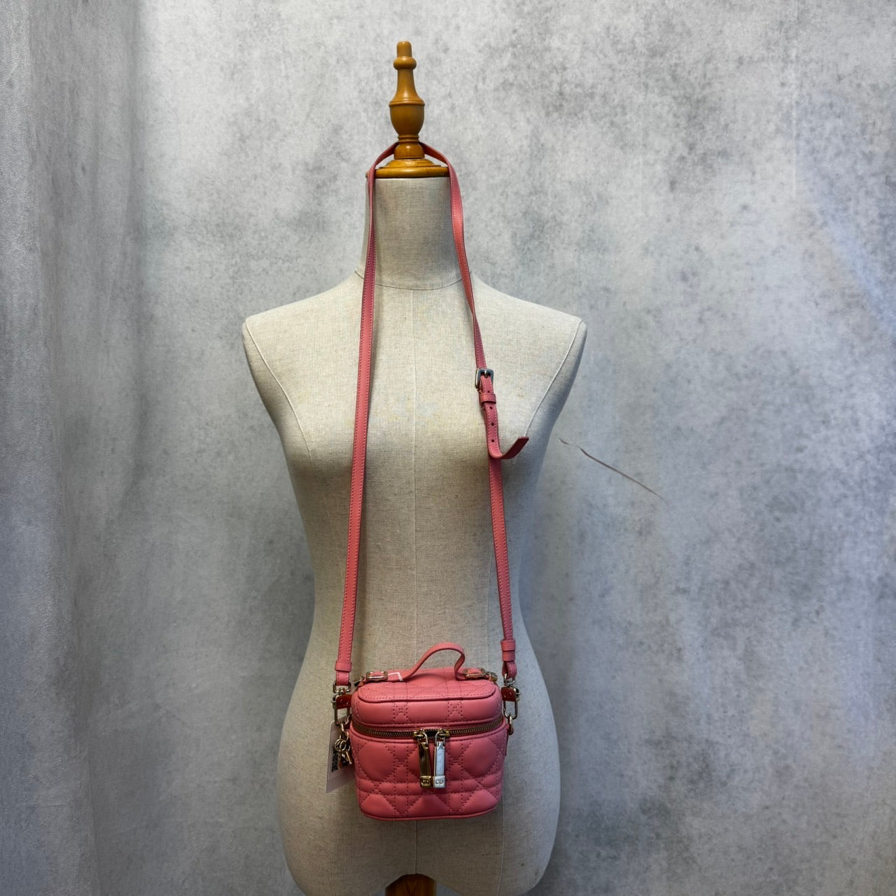 DIOR レディディオール カナージュ マイクロバニティ