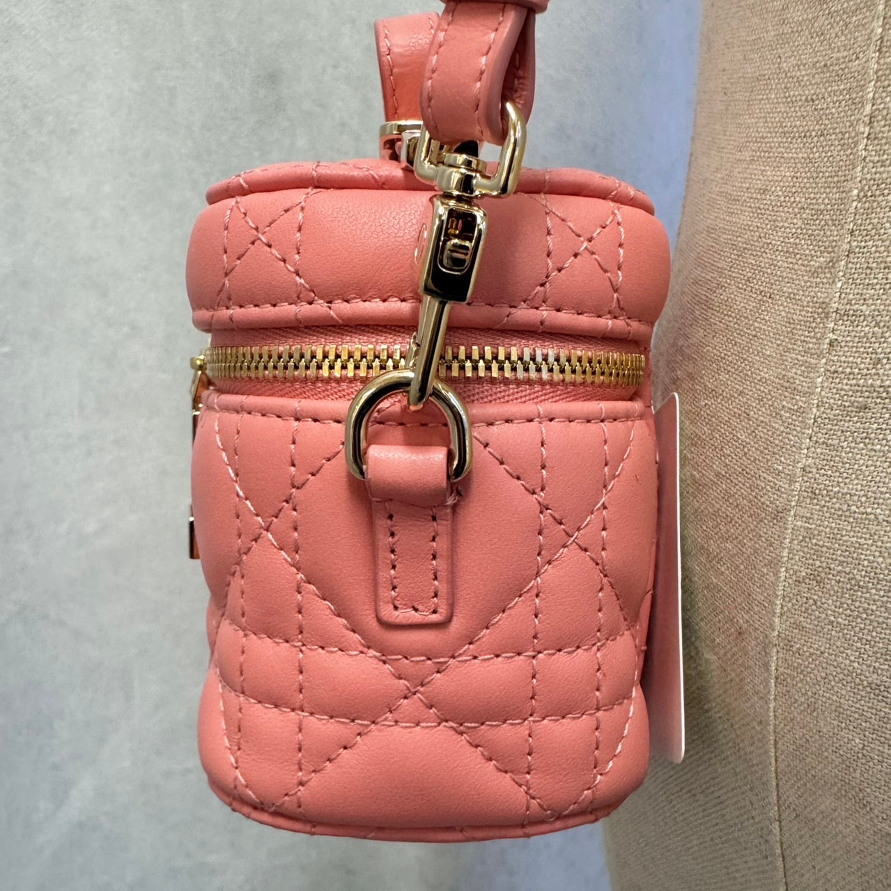 DIOR レディディオール カナージュ マイクロバニティ